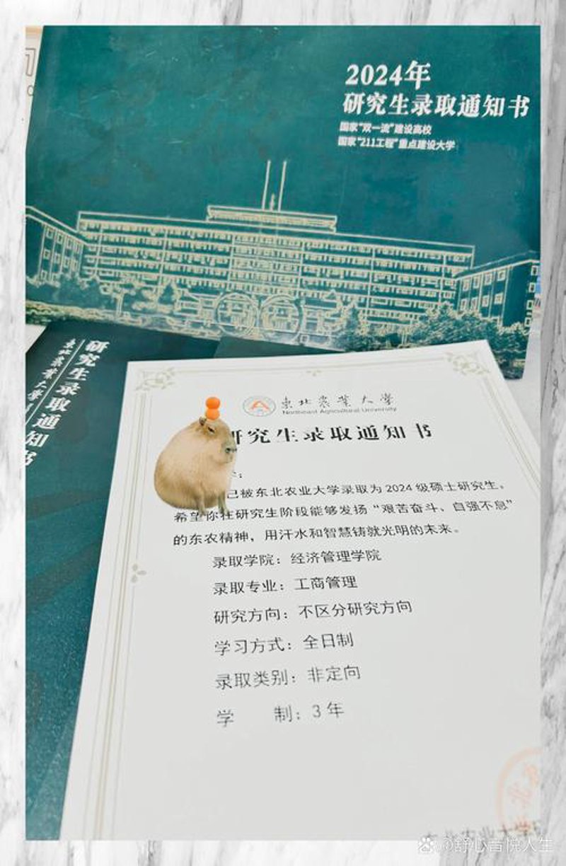 校园通知